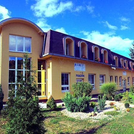 Pension Avio Angels Ziar nad Hronom Exterior photo